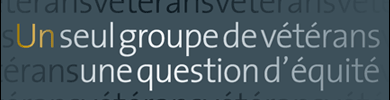 Image de bannière du rapport annuel 2010-2011 – Un seul groupe de vétérans : une question d’équité
