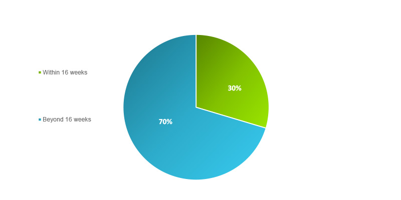 Figure 1 Pie Chart is a visual representation of the paragraph above